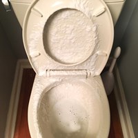 Портфолио Melissa Helser